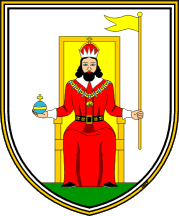 Mestna občina Novo mesto